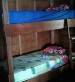 Pulau Masokut Hotel | Surf the Waves at Masokut Surf Camp in Siberut Mentawai
