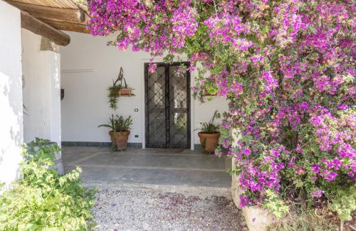 Torre Santa Susanna House | Experience Relaxation at Masseria Bellamarina, 4-Star Retreat