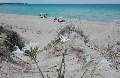 Torricella House | Experience Ocean Views at Masseria Giustiniani Hotel