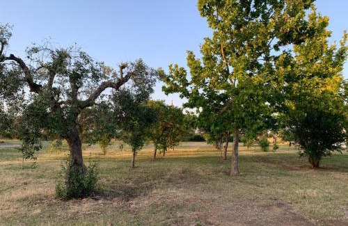 Ginosa House | Masseria Montedoro