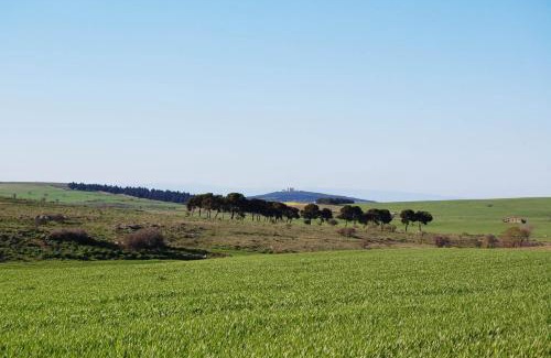 Corato House | Discover Masseria Torre Di Nebbia: Top-Rated with Hot Tub