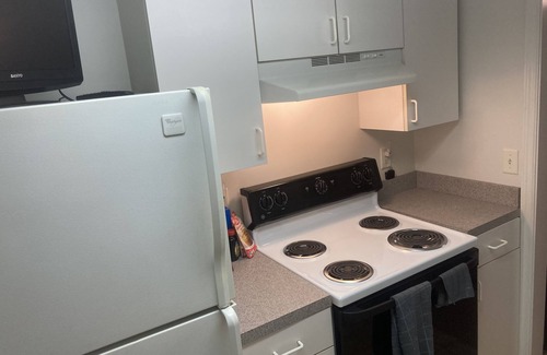 Rosewood Apartment | Masters Themed Apartment with KING Bed in Columbia, SC