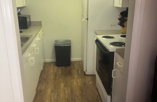 Rosewood Apartment | Masters Themed Apartment with KING Bed in Columbia, SC