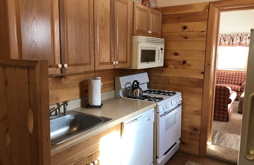 Rowland Cabin | Inviting Masthope Log Cabin with Pool & Spa Amenities