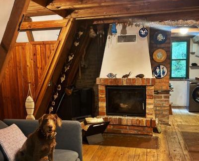 Ostrow Wielki Cabin | Masurian Lake District FOREST HOUSE - jest internet STARLINK