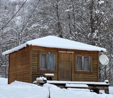 Kolasin Municipality House | Pet-Friendly Matesevo Guest Houses with Oceanfront Pool