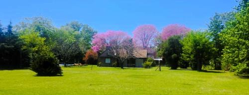 Chascomus House | Pet-Friendly Matilda Hotel with Oceanfront Views & Hot Tub