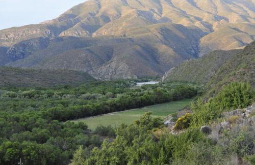 Calitzdorp House | Discover Matjiesvlei Guestfarm: Pet & Child Friendly Retreat