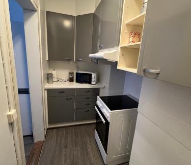 Porvoo Apartment | Convenient Hotel Near City Center with Pet-Friendly Amenities