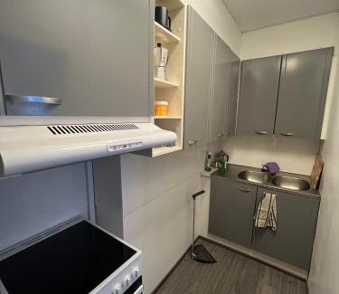 Porvoo Apartment | Convenient Hotel Near City Center with Pet-Friendly Amenities