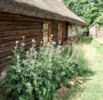 Igakula House | Pet-Friendly Matsi Cottage - 4-Star Retreat with Top Reviews