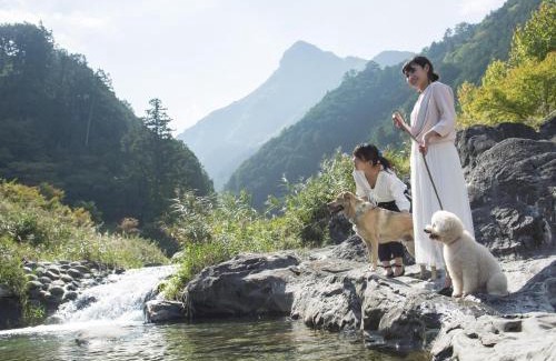 Matsusaka Hotel | Matsusaka Doggie Paradise Hotel Smeall