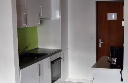 Riederalp Apartment | Top Rated Apartment Matten with Spa & Breakfast Options
