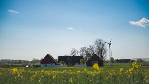 Klippan Bed & Breakfast | Pet-Friendly Mattisgården Bed & Breakfast for Every Traveler