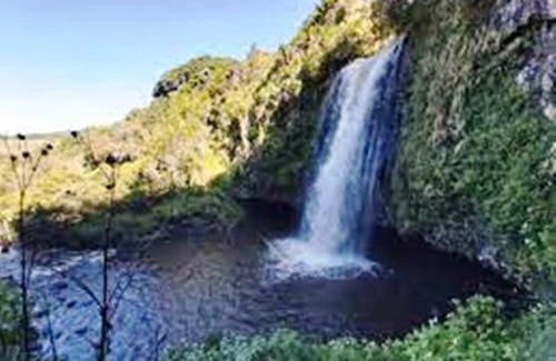Aberdare National Park House | Welcoming Maverick Camp: Rondavels & Homestay Awaits
