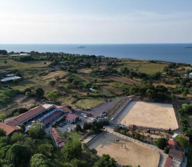 Gumusdere Resort | Experience the Bliss of MAVİ AT HOTEL Blue Horse