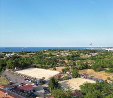 Gumusdere Resort | Experience the Bliss of MAVİ AT HOTEL Blue Horse