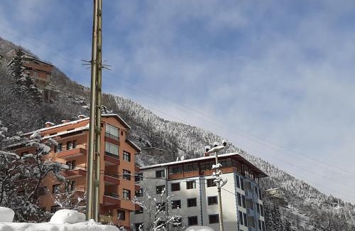 Caykara Apartment | Discover Mavi Köşk Uzungöl: Family-Friendly Retreat