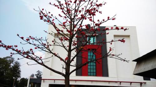 Jabalpur Hotel | Discover Max Hotels Jabalpur: Wheelchair Accessible Comfort