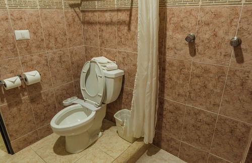 Palenque Hotel | Experience Relaxation at Maya Tulipanes Express Hotel
