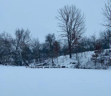 Vinnytsia Oblast Apartment | Unique House by the River - Guest Rated 10/10, Pet Friendly