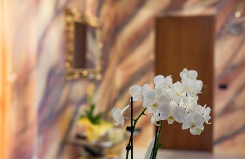Abano Terme Apartment | Pet-Friendly Apartments in Abano Terme, Rated 9.7/10