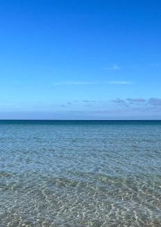 McCrae House | Charming Mcrae Retro Beach House - Pet Friendly Retreat