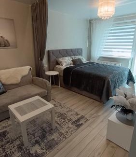 Druskininkai Apartment | Top-Rated MEŠKUTĖS APARTAMENTAI: Family-Friendly Escape