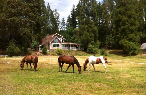 Prospect House | Discover Meadow House: Trails & Kitchen Near Crater Lake