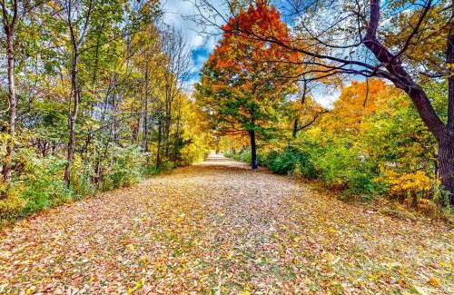 Indianapolis House | Pet-Friendly Retreat at Medallion Place for Families