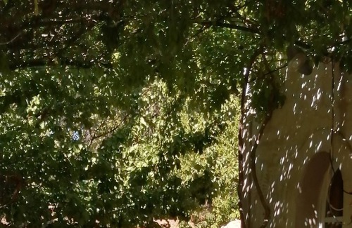 Aigaliers House | Mediterranean bastide in its green setting