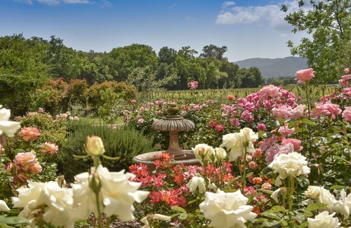 Yountville House | Serene Mediterranean Retreat with Pool and Spa in Wine Country