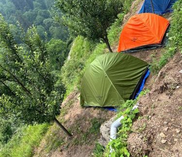 Shangarh Hotel | Meet by cooincidence homestay - A place of peace and nature