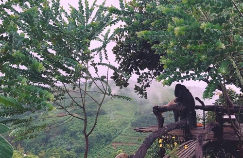 Dak R'Lap Villa | Pet-Friendly Retreat at Megarden Thung Lũng - 8/10 Rating