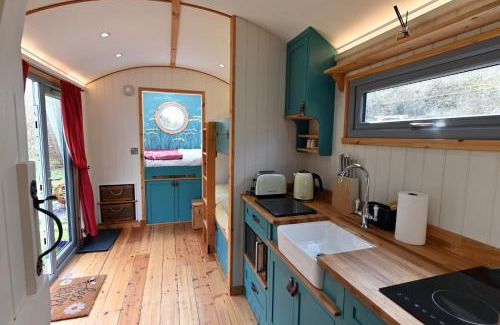 Carmarthen Cabin | Idyllic Meidrim Meadows Shepherd's Hut - 10/10 Guest Rated