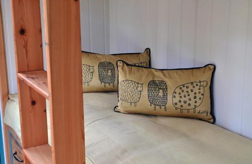 Carmarthen Cabin | Idyllic Meidrim Meadows Shepherd's Hut - 10/10 Guest Rated