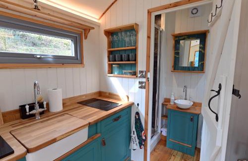 Carmarthen Cabin | Idyllic Meidrim Meadows Shepherd's Hut - 10/10 Guest Rated
