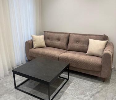 Samaxi House | Melhem Twin Homes