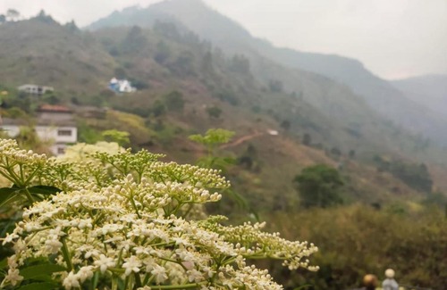Kodaikanal House | Budget-Friendly Stay at Memmsta Hotels with Breakfast & Kitchen