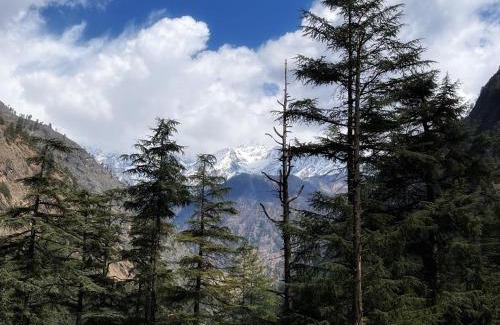 Kasol House | Relaxing Memoir Homestay: Pet-Friendly Retreat Awaits