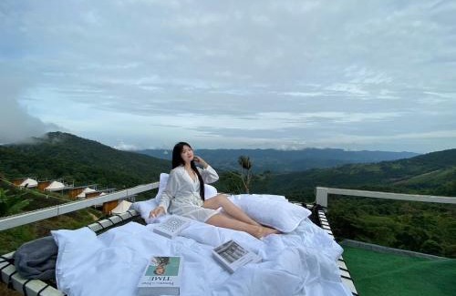 Tap Tao Other | Memory House ภูชี้ฟ้า เชียงราย