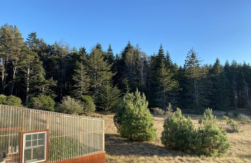 Mendocino House | Coastal Estate with Ocean Views and Private 5 Acres
