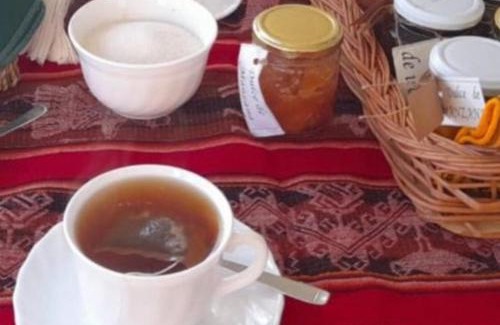 Mendoza House | Experience Life in Mendoza: Family-Friendly with Breakfast