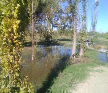 Junin Department House | mendoza junin