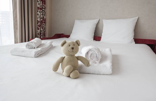 Blatin Hotel | Top-Rated Mercure Clermont Ferrand Centre Jaude Hotel