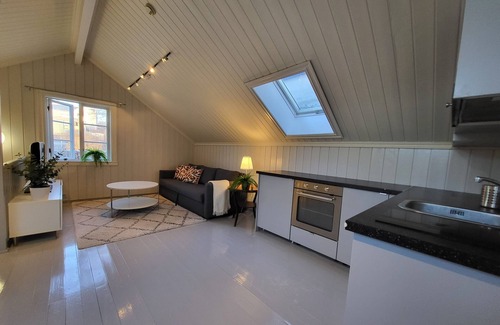 Trondheim House | Explore Mercury House with Cathedral Views and Free Parking