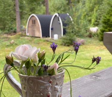 Hiiumaa Other | Discover Merineitsi Metsamaja: Family-Friendly Retreat
