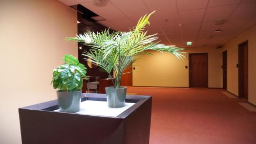 Salo Hotel | Meriniitty Hotelli