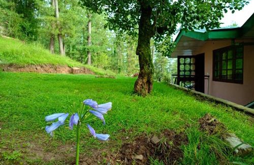 Baldeyan Apartment | Inviting Merlin Grove Suites in Simla with Family-Friendly Amenities