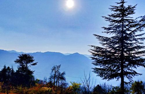 Baldeyan Apartment | Inviting Merlin Grove Suites in Simla with Family-Friendly Amenities